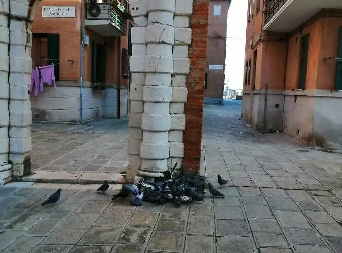 Casa Madda Biennale Venedig